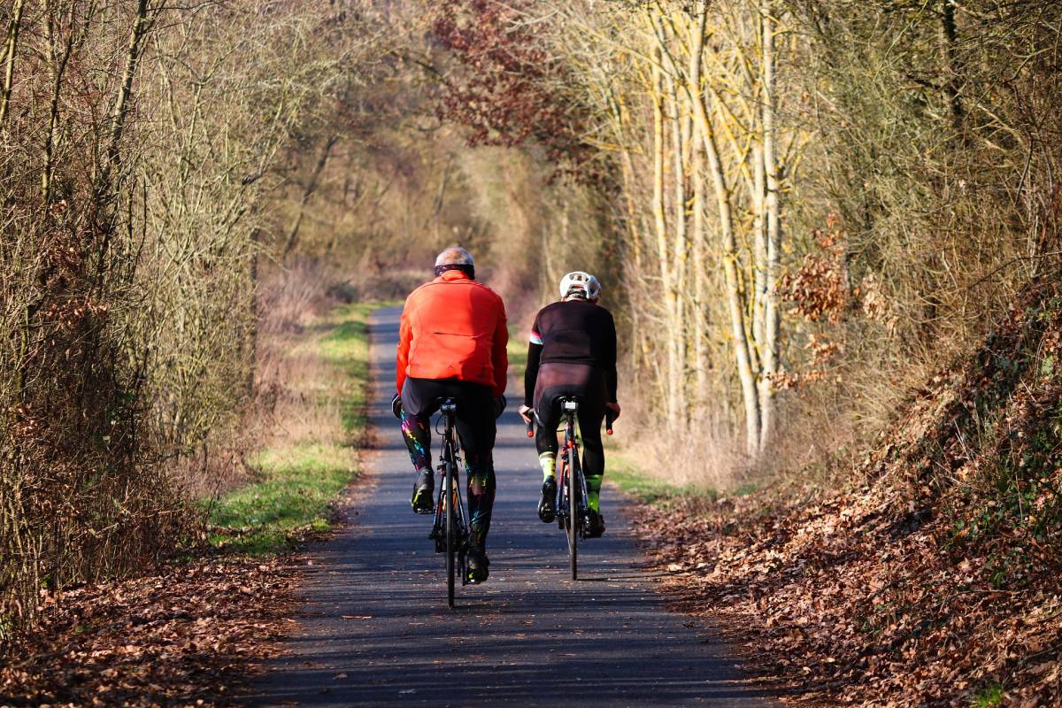 Zwei Fahrradfahrer im Herbst auf Waldweg